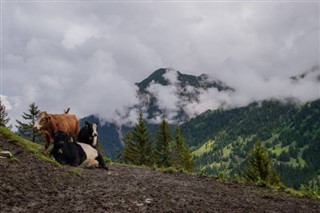 Liechtenstein hava tahmini