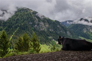 Liechtenstein időjárás-jelentés