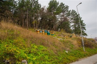 Makedonya hava tahmini