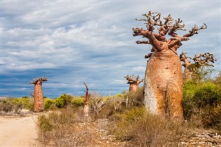 Madagascar prévisions météorologiques