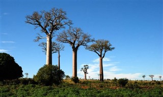 Madagaskar Hava tahmini
