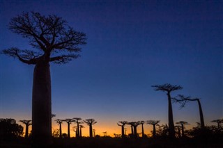 Madagaskar hava tahmini