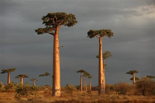 Madagaszkár időjárás-jelentés