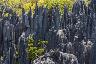 Madagaskar vejrudsigt