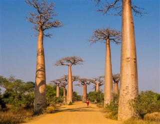 Madagaskar hava tahmini