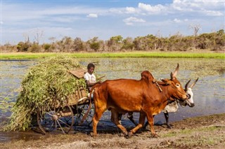 Madagaskar hava tahmini