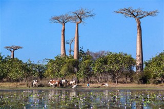 Madagaskar hava tahmini