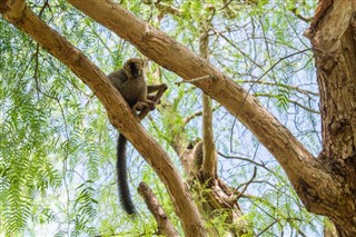 Madagaskar hava tahmini