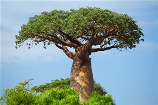 Madagaskar hava tahmini
