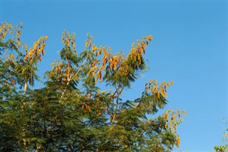 Madagaskar hava tahmini