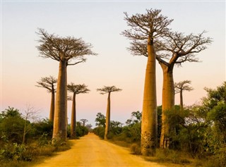 Madagaskar vejrudsigt