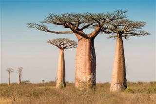 Madagaskar hava tahmini