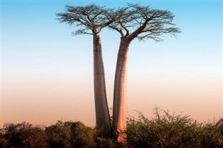 Madagaskar hava tahmini