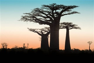 Madagascar Previsioni del tempo
