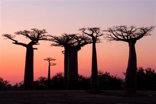 Madagaskar vejrudsigt
