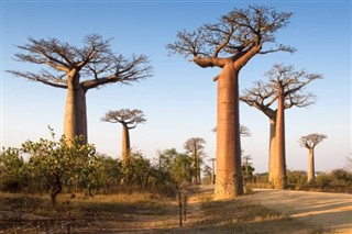 Madagaskar vejrudsigt