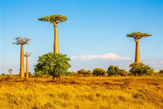 Madagaskar hava tahmini