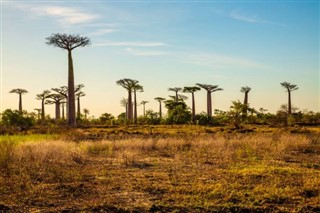 Madagaskar vejrudsigt