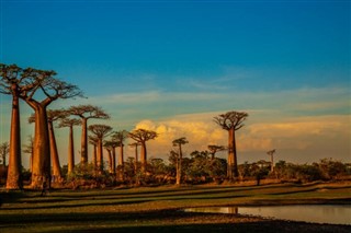 Madagaskar Hava tahmini