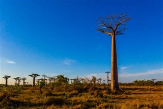 Madagascar prévisions météorologiques