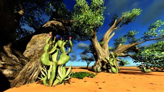 Madagaskar vremenska prognoza