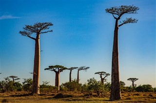 Madagaskar vejrudsigt