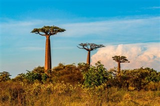 Madagaskar vejrudsigt