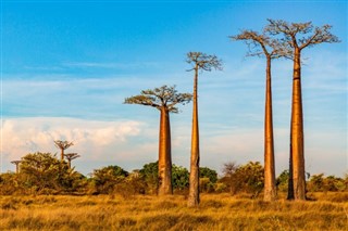 Madagascar weather forecast