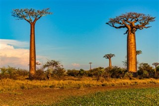 Madagaskar vejrudsigt