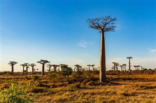 Madagascar prévisions météorologiques