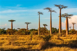 Madagaskar hava tahmini