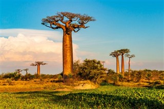 Madagaskar vejrudsigt