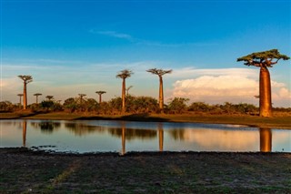 Madagascar prévisions météorologiques