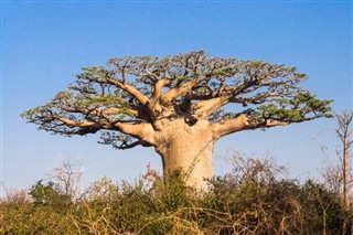Madagaskar hava tahmini
