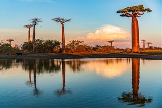 Madagascar prévisions météorologiques