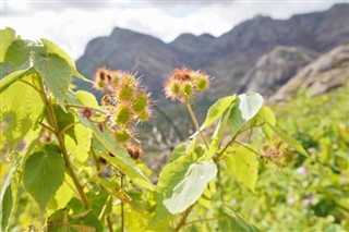 Madagaskar hava tahmini