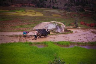 Madagaskar Hava tahmini