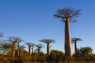 Madagaskar hava tahmini