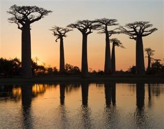 Madagaskar vejrudsigt