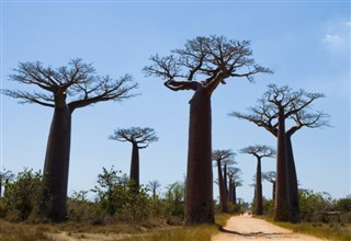 Madagaskar vremenska prognoza
