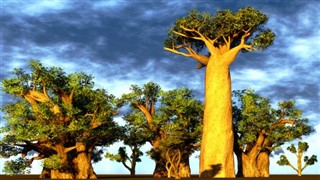 Madagaskar hava tahmini