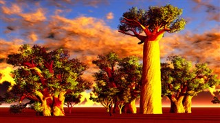 Madagaskar hava tahmini
