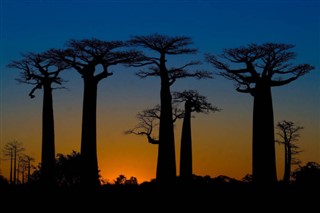 Madagaskar vejrudsigt