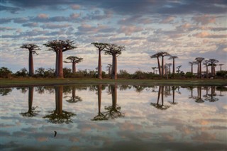 Madagaskar vejrudsigt
