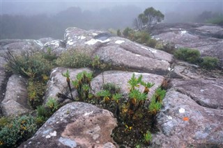 Madagaskar vremenska prognoza