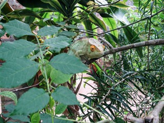 Madagaskar vejrudsigt