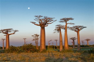 Madagaskar vejrudsigt