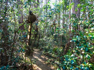 Madagascar prévisions météorologiques