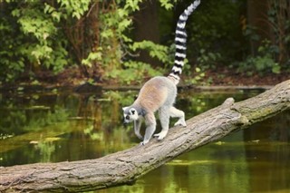 Madagaskar hava tahmini