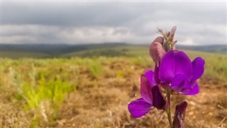 Malawi hava tahmini
